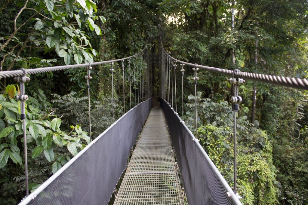 Hanging Bridge at Mistico Park