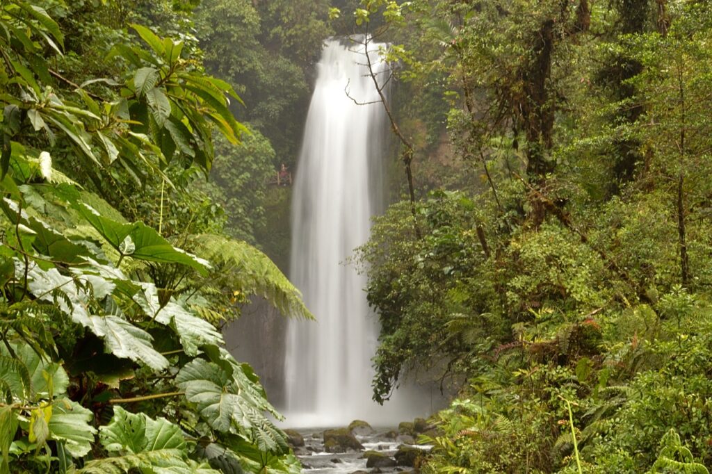 Rainforest waterfall in Costa Rica