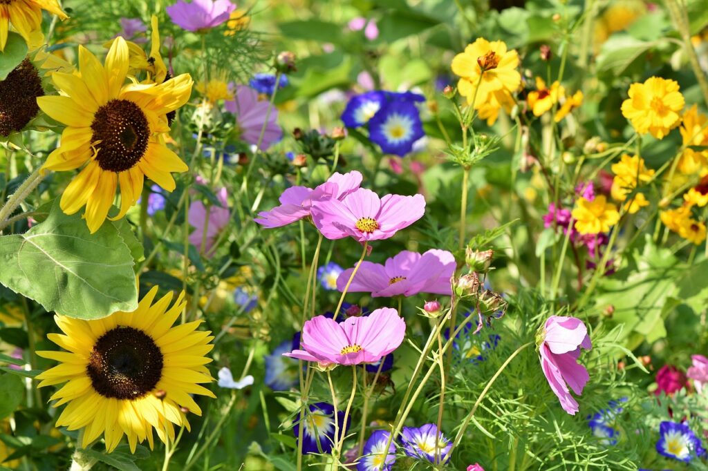 From Lawn to Love: Converting Traditional Turf to Pollinator Friendly Landscaping